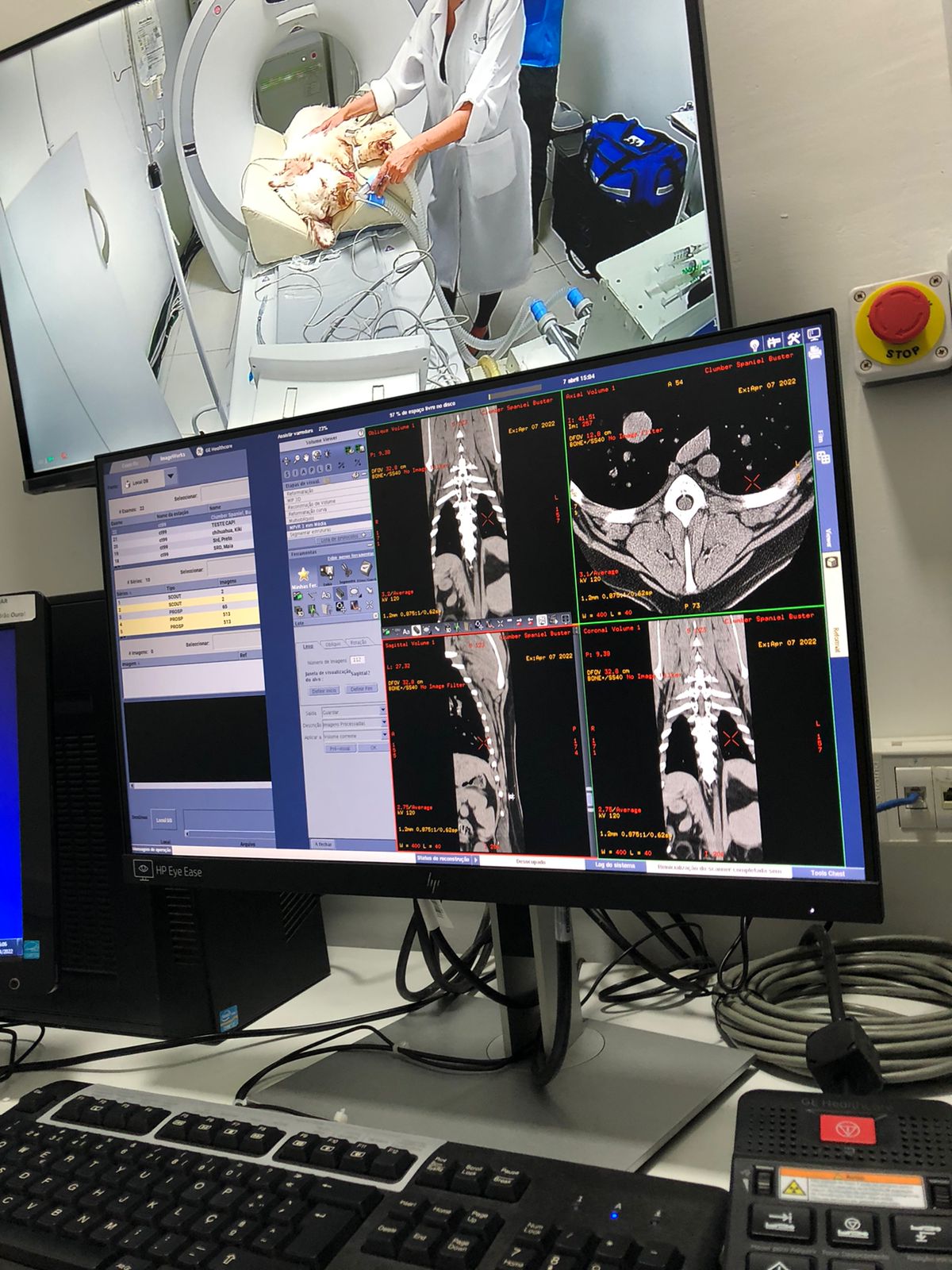 Estação de laudos com imagens de tomografia veterinária