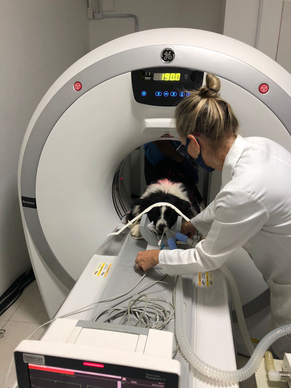 Médica-veterinária posicionando cão na mesa do tomógrafo na Imaginar, em Porto Alegre